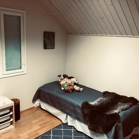 Spacious Riverside With Aurora And Wilderness Utsjoki