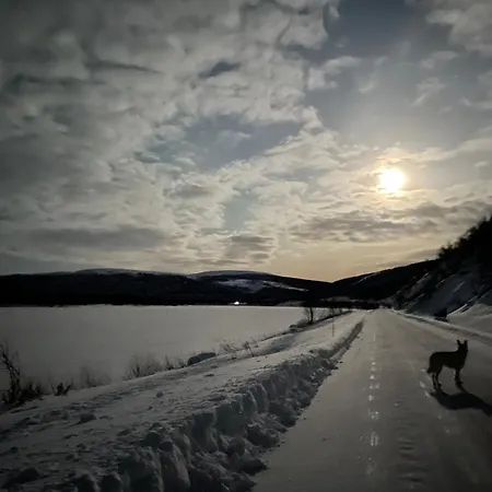 Spacious Riverside With Aurora And Wilderness *