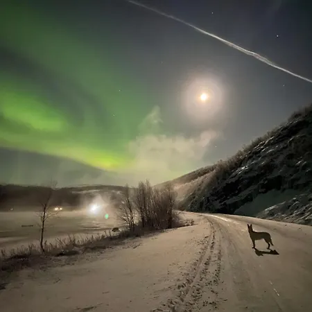 Spacious Riverside With Aurora And Wilderness