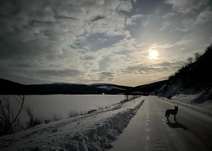 Spacious Riverside With Aurora And Wilderness *